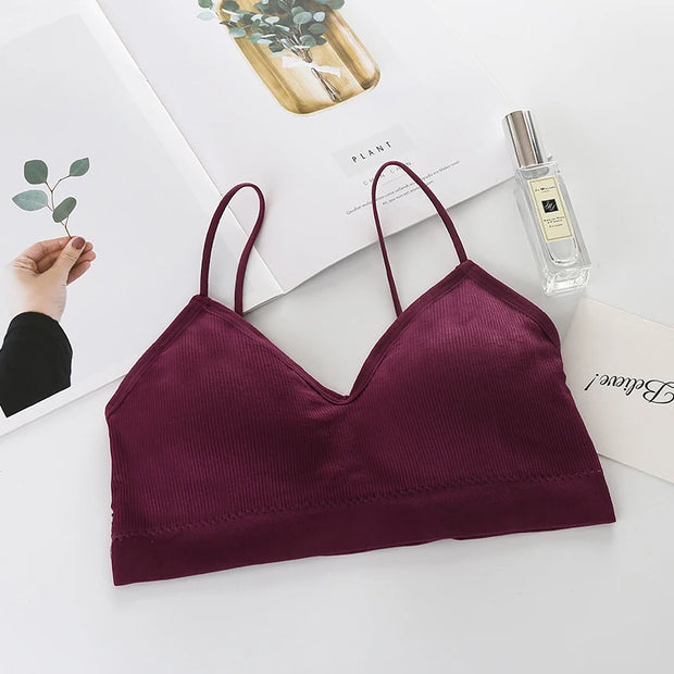 Women's Breathable And Padded Sports Bra.