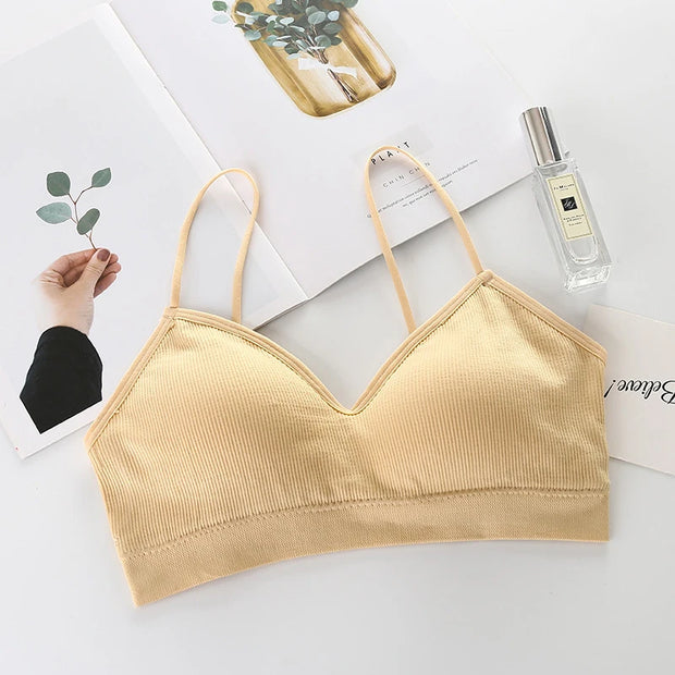 Women's Breathable And Padded Sports Bra.