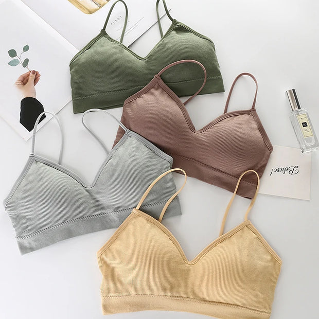 Women's Breathable And Padded Sports Bra.