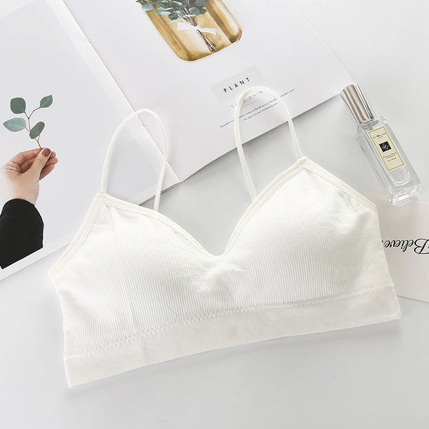 Women's Breathable And Padded Sports Bra.